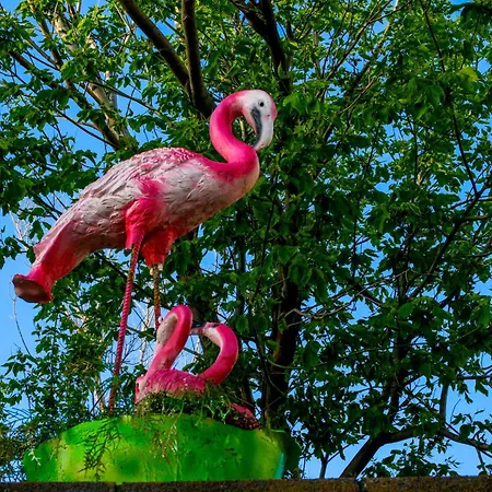 Devrim Apartahotel *